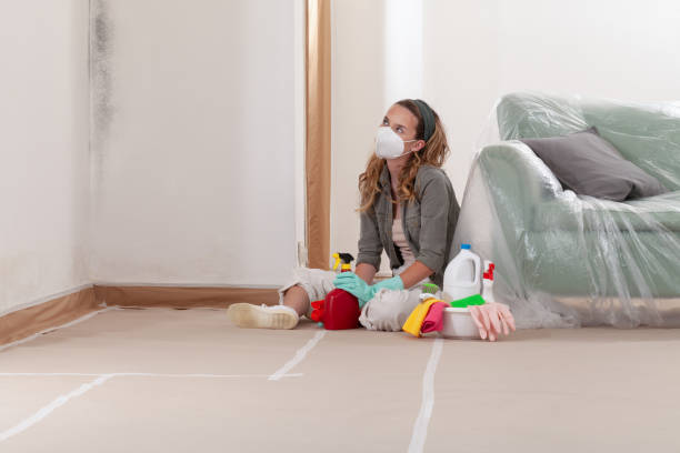 Reliable Mold Removal contractor in Des Plaines, IL by WQB Mold Removal